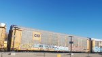 CSXT B112365 (Body) TTGX 995088 (Flat)